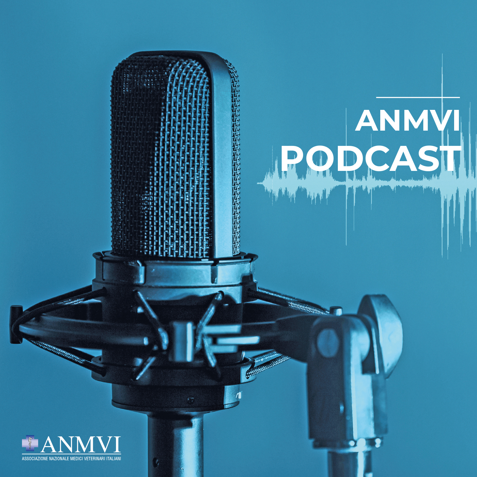 Podcast_ANMVI_900x900.jpg