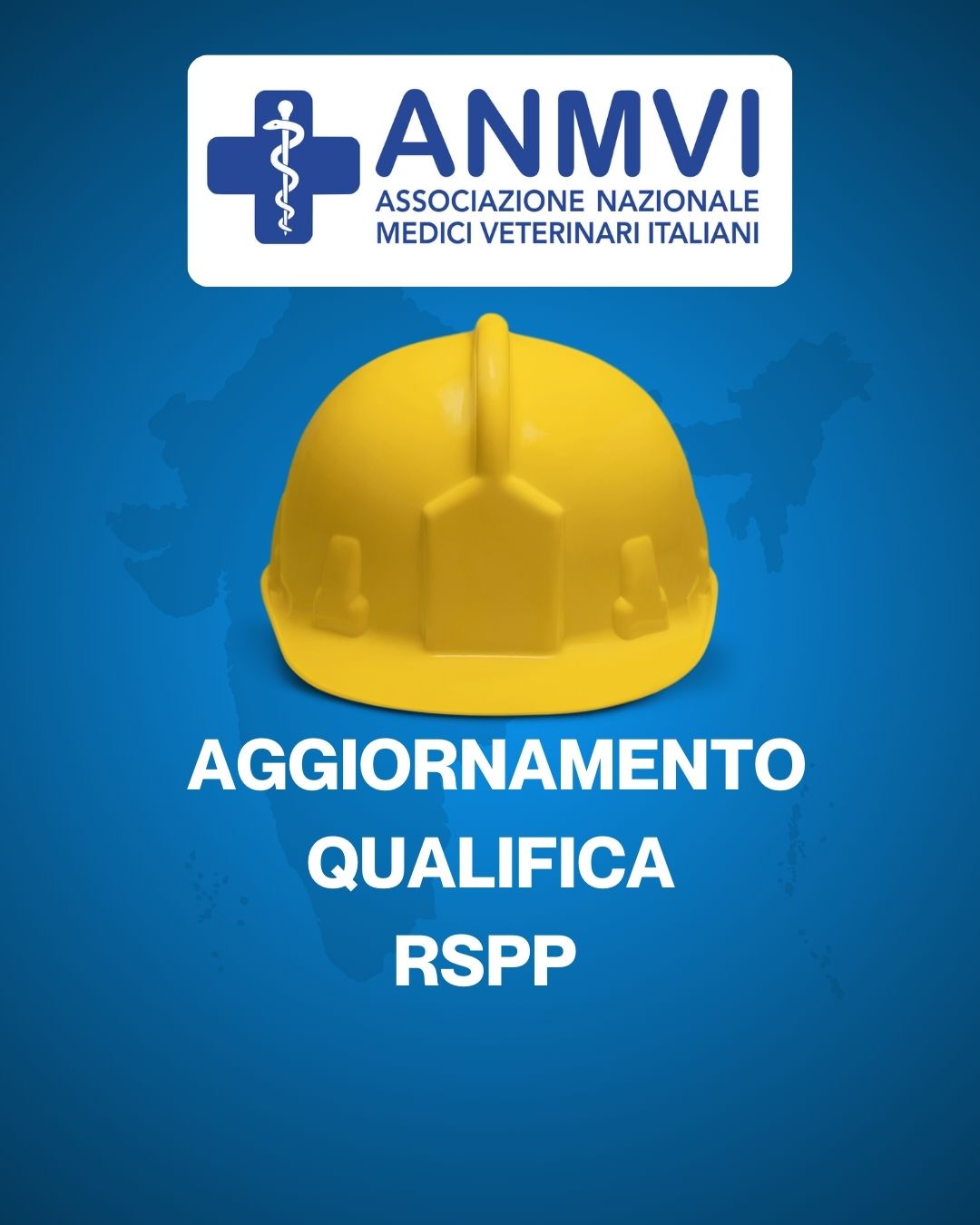 Sicurezza ANMVI